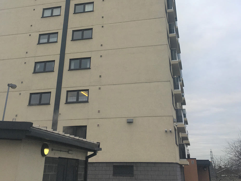 Bermar | Low Cross Court
